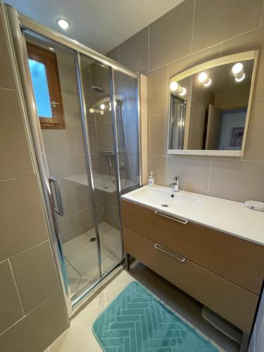 a bathroom with a shower and a sink and a mirror at Iris, les Gîtes de Carlux in Carlux
