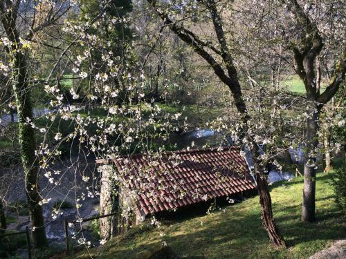 a wooden bench sitting in the grass next to trees at Quinta do Rio Homem in Caldelas