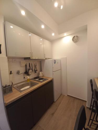 eine kleine Küche mit Spüle und Kühlschrank in der Unterkunft Sancho Leone in Belgrad