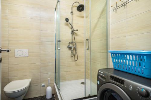a shower in a bathroom with a washing machine at Nguyen und Le in Neukirch