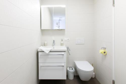 a white bathroom with a toilet and a sink at Wohlfühlapartments in Hard in Hard