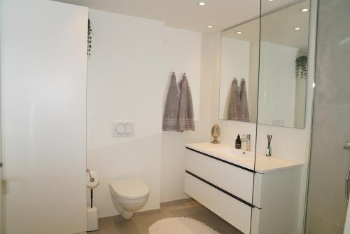 La salle de bains blanche est pourvue de toilettes et d'un lavabo. dans l'établissement Aalborg limfjorden udsigt, à Nørresundby
