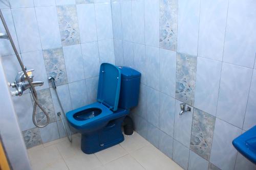a blue toilet in a bathroom with a shower at King's Hill Hotel in Hatton