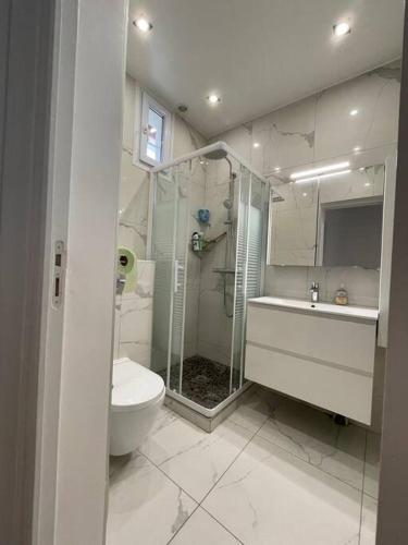 une salle de bain avec une douche, des toilettes et un lavabo dans l'établissement Paris Centre CLAMART Hôpital PERCY APPART 2 pièces TRÈS Lumineux Grand, à Clamart