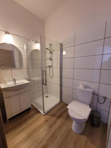 uma casa de banho com um WC, um chuveiro e um lavatório. em Dworek Sobieskiego em Skierniewice