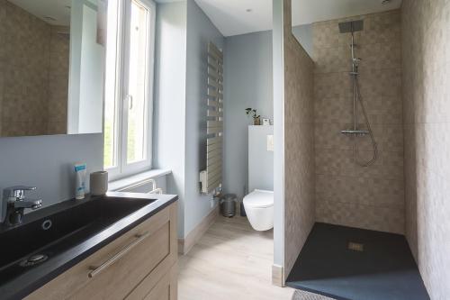 a bathroom with a sink and a toilet and a shower at LaFabriek in Canet d'Aude