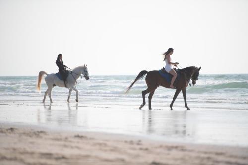 two people riding horses on the beach at Umm Al Quwain Beach Hotel in Umm Al Quwain