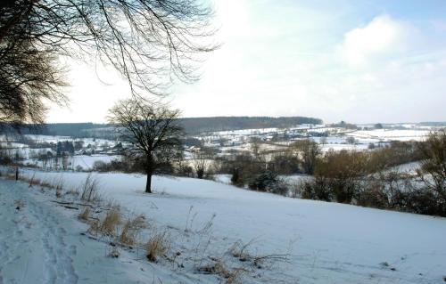 a snowy field with a tree in the snow at Hof de Draeck Bed & Breakfast in Teuven