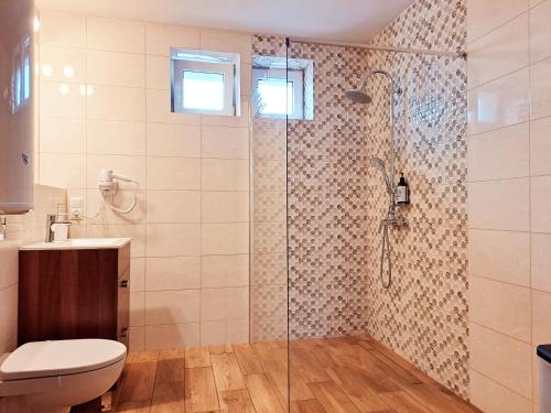 a bathroom with a shower with a toilet and a sink at Apartament pod Miastem in Szamotuły
