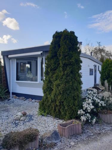 Billede fra billedgalleriet på Vintage chalet Fereale II i Grou