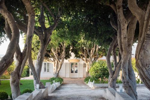 a row of trees in front of a house at Il Giardino Ritrovato in Marsala