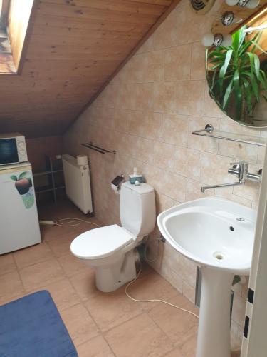 een badkamer met een toilet en een wastafel bij Pension Beránek in Praag