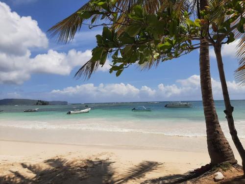 a beach with boats in the water and a palm tree at Oasis en la naturaleza Rancho alto bonito in Las Galeras