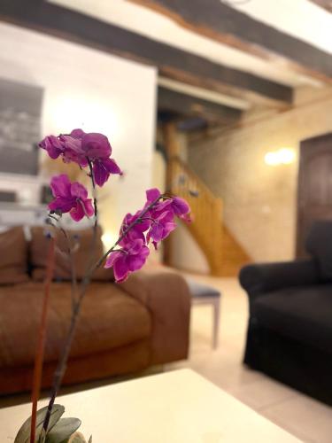 Charming stone house with swimming pool – Photos 2