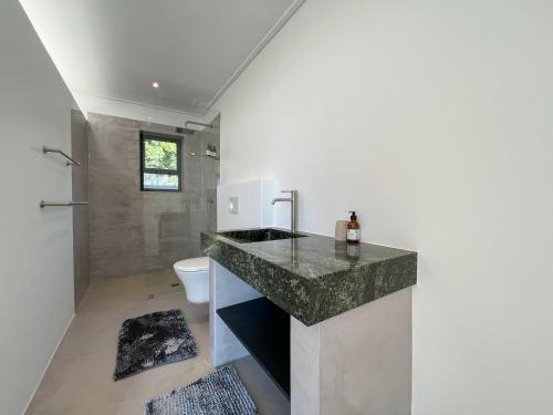 a bathroom with a sink and a toilet at Views over Wilderness in Wilderness