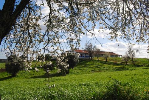 Zahrada ubytování Herdade dos Mestres