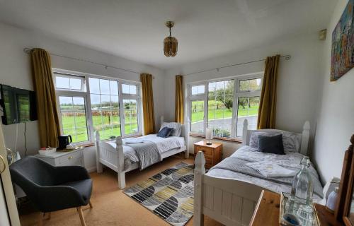 1 dormitorio con 2 camas, silla y ventanas en Cable Island Bed and Breakfast en Cork