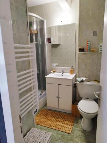 une salle de bain avec toilettes, lavabo et douche dans l'établissement Charmant T2 terrasse, bord de mer, à Argelès-sur-Mer