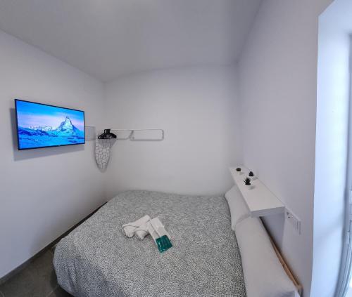 塞維利亞的住宿－Mini Estudio JACUZZI DOBLE SEVILLA "POLIGONO INDUSTRIAL"，卧室配有一张床,墙上配有电视。