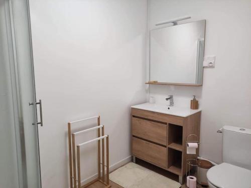 La salle de bains est pourvue d'un lavabo et d'un miroir. dans l'établissement Maison de vacances, à La Bourboule