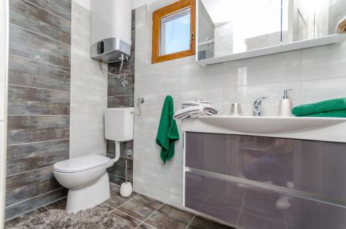 ein Bad mit einem WC und einem Waschbecken in der Unterkunft Apartmani Selo Luka in Ražanj