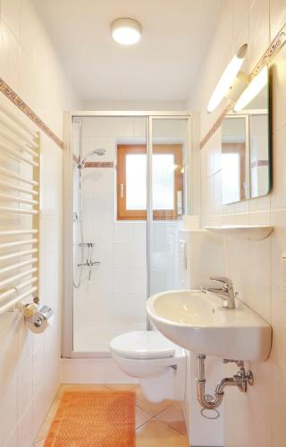 a bathroom with a toilet and a sink and a shower at Haus Wendland in Bischofswiesen