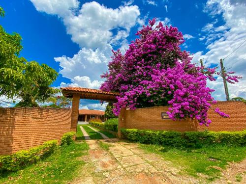a tree with purple flowers on a brick wall at Pousada Espaço do Sol in Araçariguama