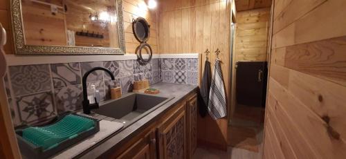 a bathroom with a sink in a wooden bathroom at Gite Roulottes de l' Alchimiste in Montjoie-en-Couserans