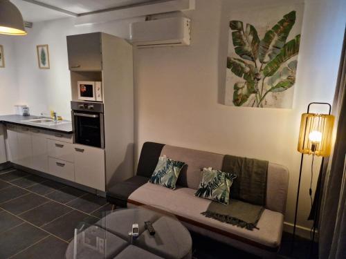 a living room with a couch and a kitchen at Appart Damazonie T3 Idéalement situé in Montjoly