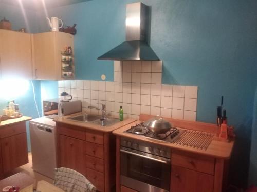 a small kitchen with a stove and a sink at Zimmer nähe Festspielhaus/HBF in Bayreuth