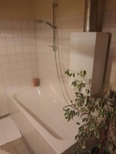 a white bath tub with a shower in a bathroom at Zimmer nähe Festspielhaus/HBF in Bayreuth