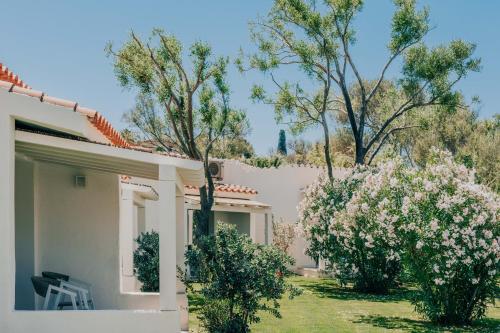 a house with trees and white flowers in the yard at AMASEA Resort in San Teodoro
