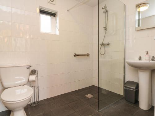 uma casa de banho com um WC e um lavatório em Larchwood Lodge em Ilfracombe