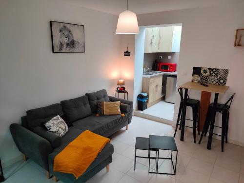 een woonkamer met een bank en een keuken bij Chez Gabinou in Boulogne-sur-Mer