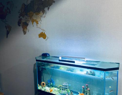 a fish tank in a room with a wall at Guest House in Sevan