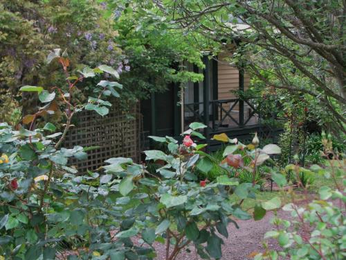 a garden in front of a house at Leafield Cottages in Dixons Creek