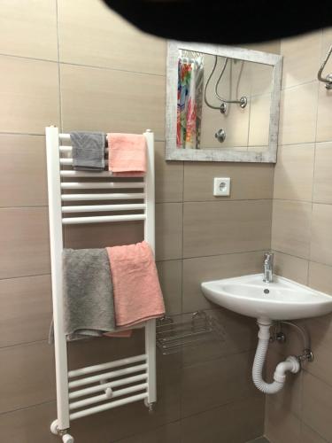 a bathroom with a sink and a towel rack at Miki in Sarajevo