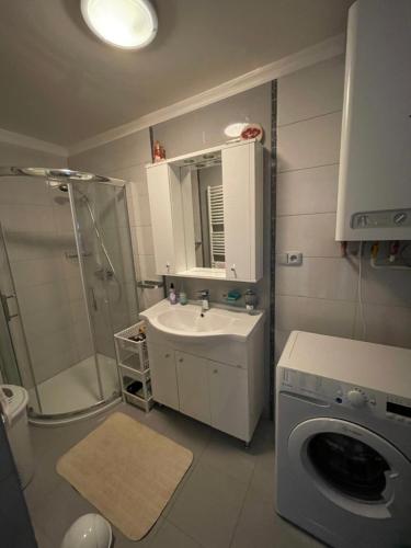 a bathroom with a shower and a sink and a washing machine at Chalupa Kalamajka in Horní Štěpánov