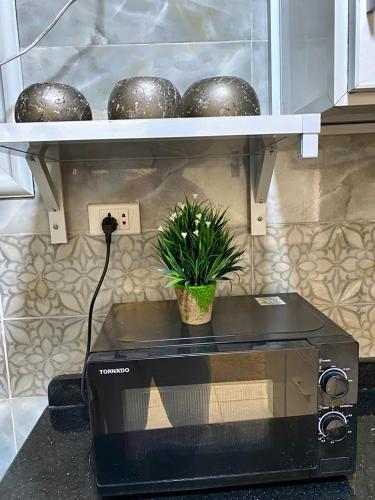a plant sitting on top of a toaster oven at ALEX HOMES - Gleem Luxury Apartments with Direct Sea View in Alexandria