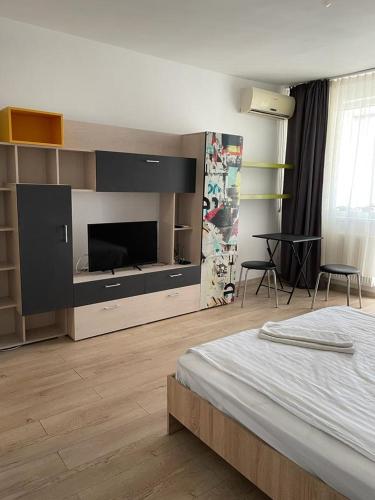 a bedroom with a bed and a large television at Bega Cirumvalatiunii One Room Apartment- 4 in Timişoara