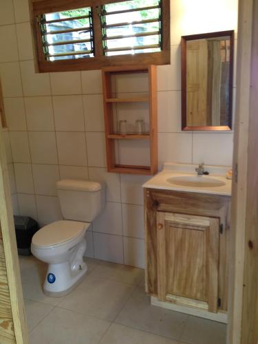 a bathroom with a toilet and a sink at Alibabas Cottage in Castara