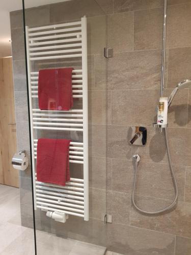 łazienka z prysznicem i czerwonymi ręcznikami. w obiekcie Haus Margret w mieście Stummerberg