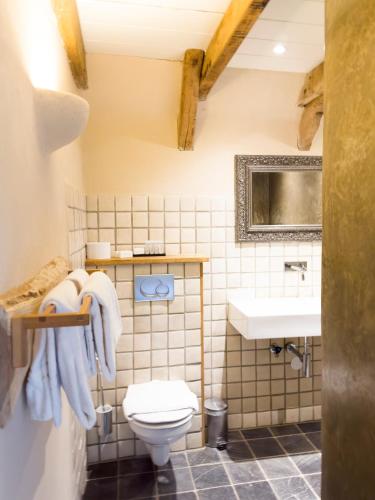 a bathroom with a toilet and a sink at Herberg de Kemper in Markelo