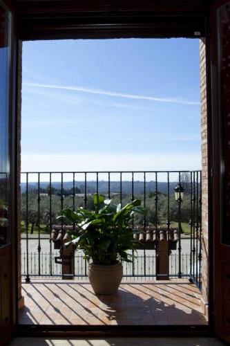 a window with a potted plant on a balcony at Casa Rural La Canchalera in Losar de la Vera