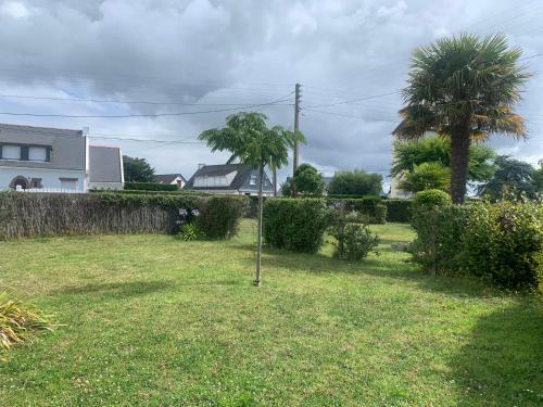 a yard with two palm trees in the grass at Maison Damgan 300m de la Plage in Damgan