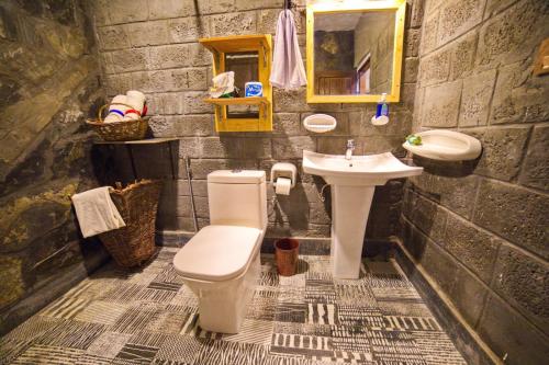 a bathroom with a toilet and a sink at Baltistan Fort in Skardu