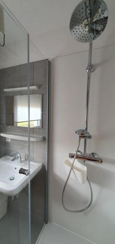 ein Bad mit einer Dusche, einem Waschbecken und einem Spiegel in der Unterkunft *Black Forest Schwarzwaldtanne* in Schluchsee