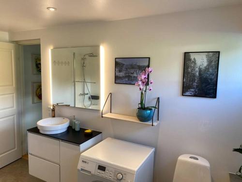 een badkamer met een wastafel en een spiegel bij Naturskøn landidyl på Ibækgaarden - I egen bolig in Vejle