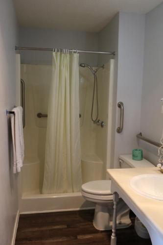 a bathroom with a shower and a toilet and a sink at Bent Tree Motel in Emory