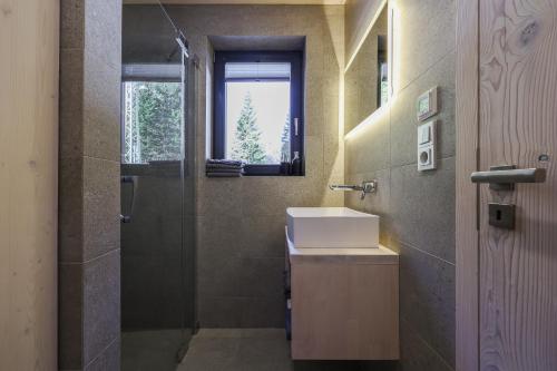 baño con ducha, lavabo y ventana en Horská chata Belveder en Železná Ruda